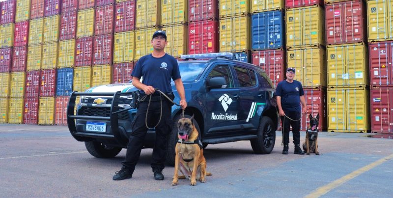 Enzo e Falcon s&atilde;o os &uacute;nicos c&atilde;es farejadores treinados pela Receita Federal em SC – Foto: Portonave/Reprodu&ccedil;&atilde;o/ND