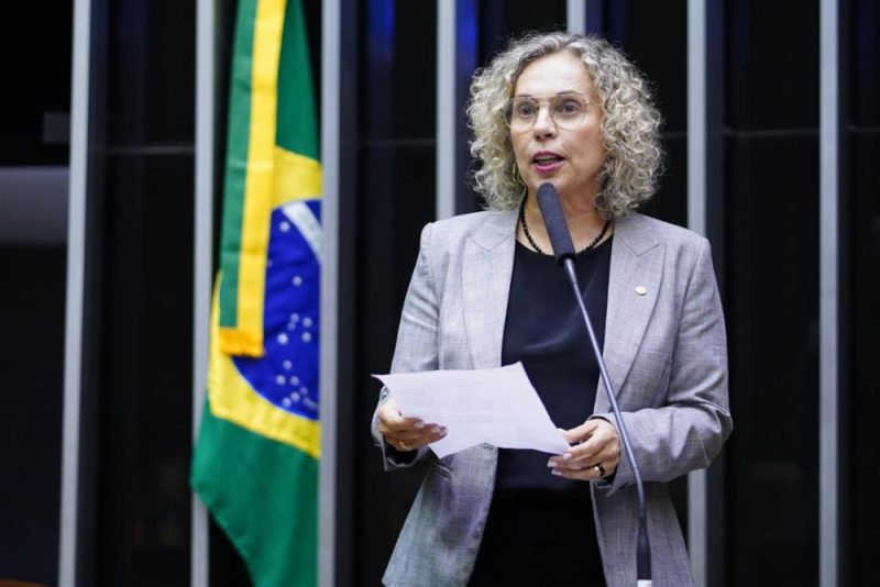 Ana Paula Lima (PT) divulgou que mais recursos poder&atilde;o ser empenhados no PPA (Plano Plurianual Participativo) Federal – Foto: Arquivo/Divulga&ccedil;&atilde;o/ND