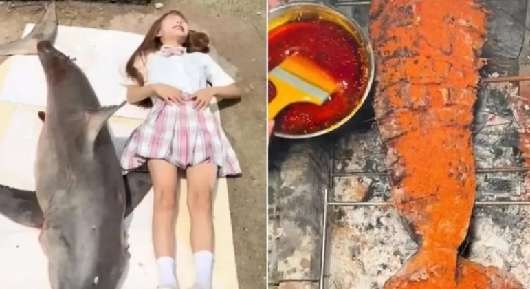 A jovem ter&aacute; que pagar uma multa de R$94 mil por comer o animal – Foto: Internet/Reprodu&ccedil;&atilde;o/ND