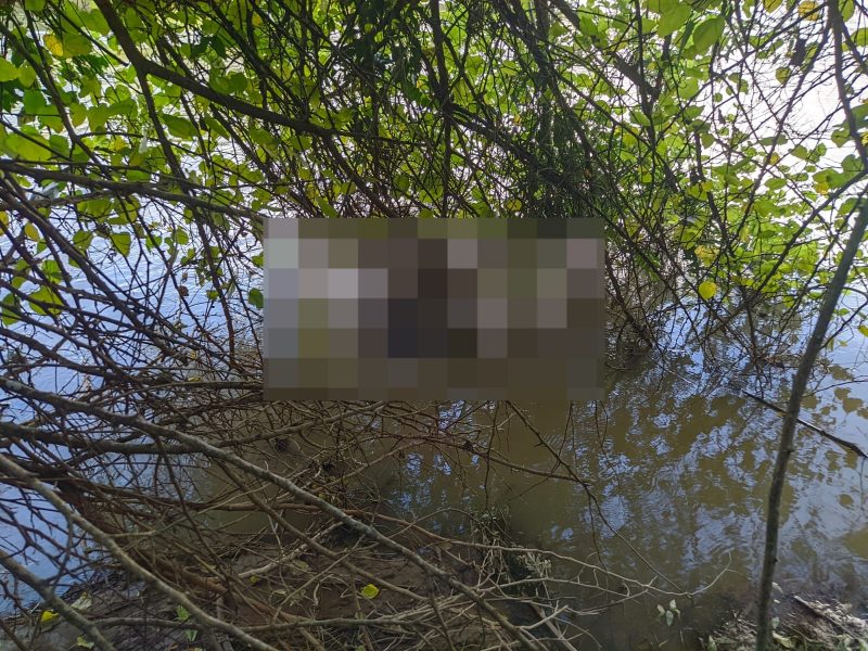 Corpo foi encontrado em avan&ccedil;ado estado de decomposi&ccedil;&atilde;o e pol&iacute;cia investiga o caso – Foto: Bombeiros Volunt&aacute;rios de Ibirama/Divulga&ccedil;&atilde;o/ND