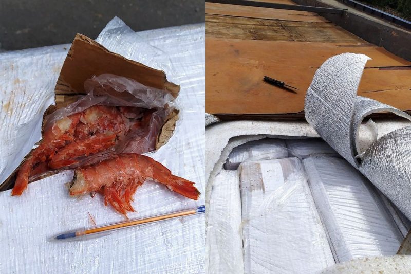 Camar&otilde;es contrabandeados estavam em temperatura fora do ideal – Foto: PRF/Divulga&ccedil;&atilde;o