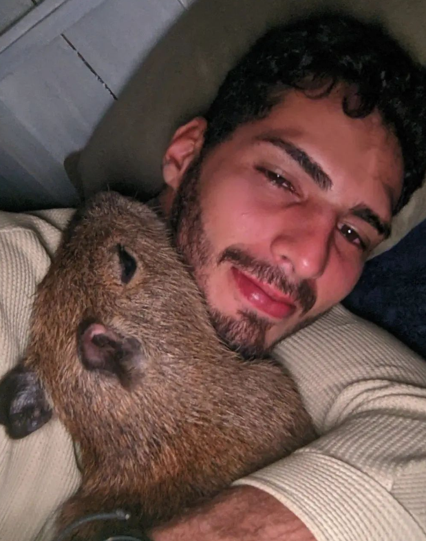 Amizade entre fazendeiro e capivara viraliza nas redes sociais; veja vídeo