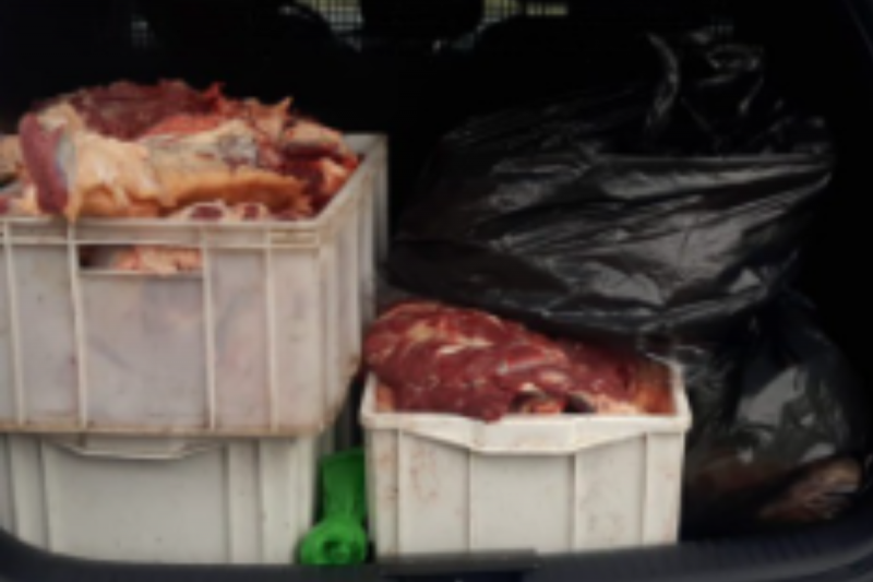 Policiais cumpriram mandado de busca e apreens&atilde;o no local e recolheram a carne considerada sem proced&ecirc;ncia – Foto: Pol&iacute;cia Civil/Reprodu&ccedil;&atilde;o/ND