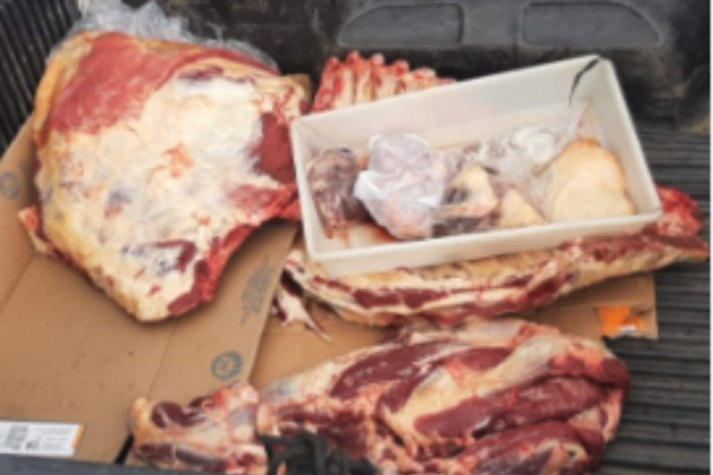 Foram apreendidos cerca de 200kg de carne do estabelecimento – Foto: Pol&iacute;cia Civil/Reprodu&ccedil;&atilde;o/ND