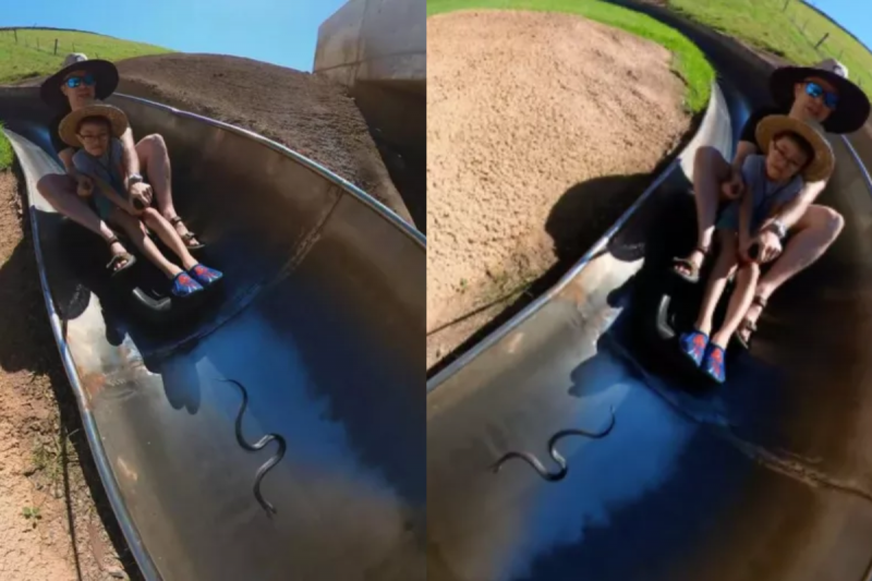 Pai e filho encontram cobra em tobog&atilde; – Foto: Newsweek/Reprodu&ccedil;&atilde;o/ND