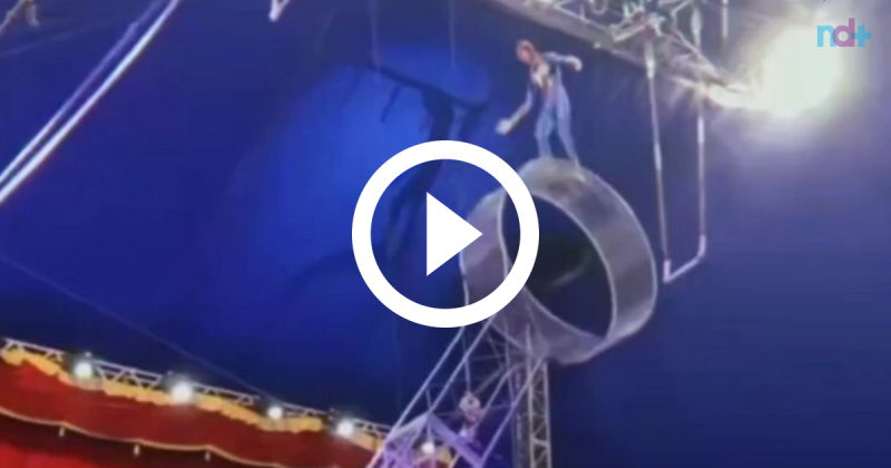 Trapezista vestido de Homem-Aranha cai durante apresenta&ccedil;&atilde;o de circo em Gaspar – Foto: Gaspar Mil Grau / Reprodu&ccedil;&atilde;o ND