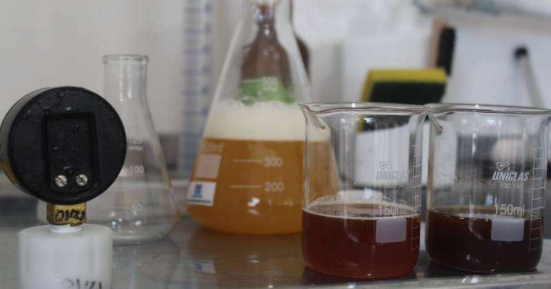 Equipe testa a qualidade do mel vinda dos fornecedores – Foto: Thiago Keller/ND