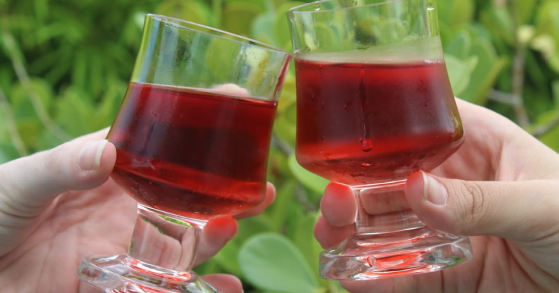 Hidromel de hibisco fabricado pela N&eacute;ctar – Foto: Thiago Keller/ND