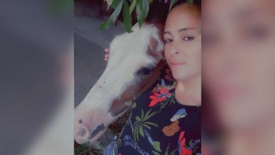 Terminou? Aplicativo troca foto de ex por objetos ou animais; veja como funciona | ND Mais