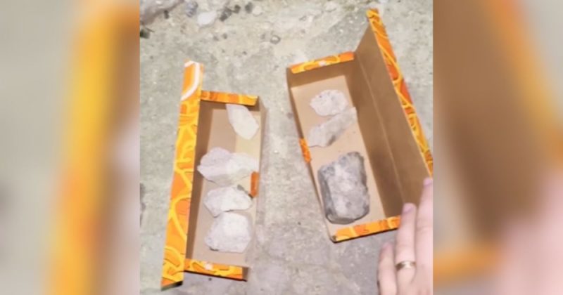 Epis&oacute;dio divertiu internautas na web – Foto: @santoalhooficial/Reprodu&ccedil;&atilde;o/ND