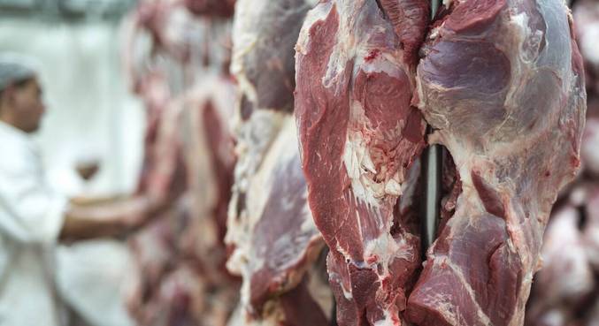 A venda da carne vermelha do Brasil para a China est&aacute; suspensa a partir de hoje – Foto: FREEPIK / ALEKSANDARLITTLEWOLF