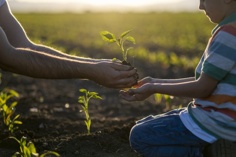 O objetivo do curso gratuito para professores é mostrar a importância da relação entre o aprendizado e a natureza