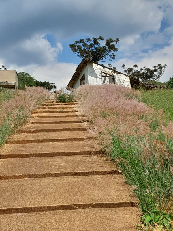 Ind&iacute;genas alegam que retornar&atilde;o &agrave;s aulas apenas quando tiverem as necessidades de melhorias atendidas. – Foto: Divulga&ccedil;&atilde;o/ND