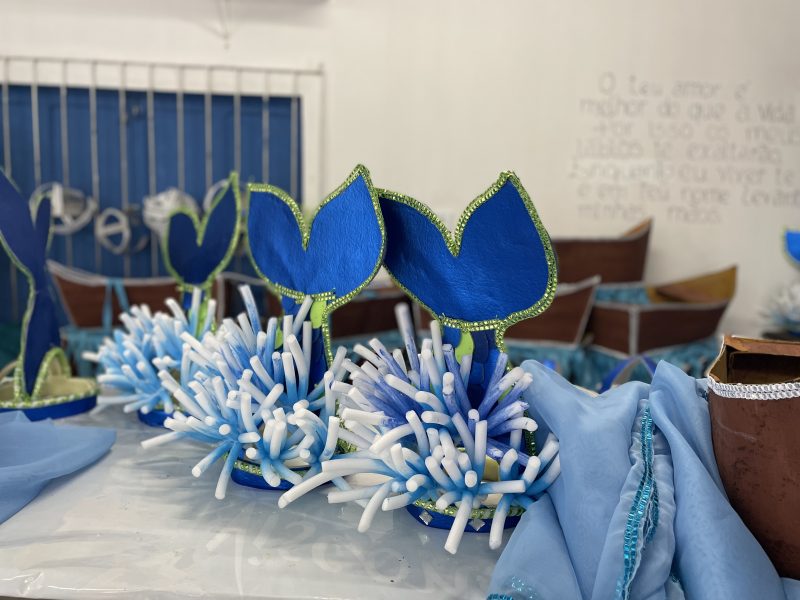 Tema do enredo deste ano &eacute; &aacute;gua – Foto: Kassia Salles/ND