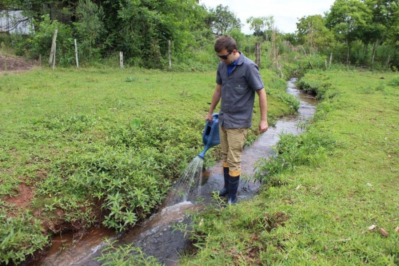 Borrachudo &eacute; um transtorno a quem visita ou mora na &aacute;rea rural de Joinville e na reuni&atilde;o o que se quer saber &eacute; como est&aacute; o controle. – Foto: Divulga&ccedil;&atilde;o