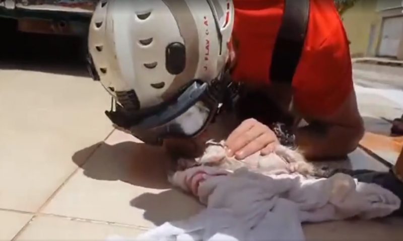 Um bombeiro se dedicou ao m&aacute;ximo para salvar o animal que havia se afogado