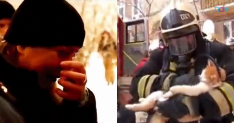 Momento foi registrado em v&iacute;deo emocionante – Foto: Twitter/Reprodu&ccedil;&atilde;o/ND