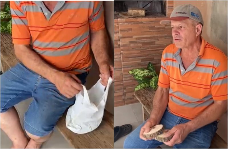 imagem de frei bruno em árvore