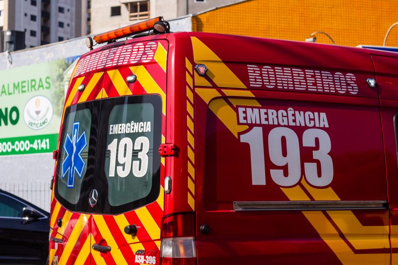 Bombeiros resgataram v&iacute;timas ap&oacute;s ataque de abelhas – Foto: Arquivo/Bruno Golembiewski/ND