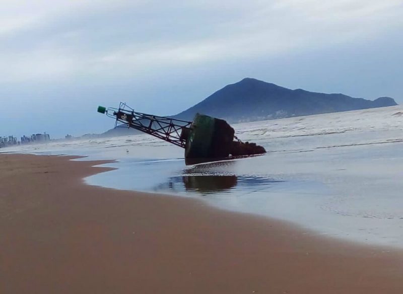 Boia foi encontrada na faixa de areia da praia – Foto: Reprodu&ccedil;&atilde;o/Internet
