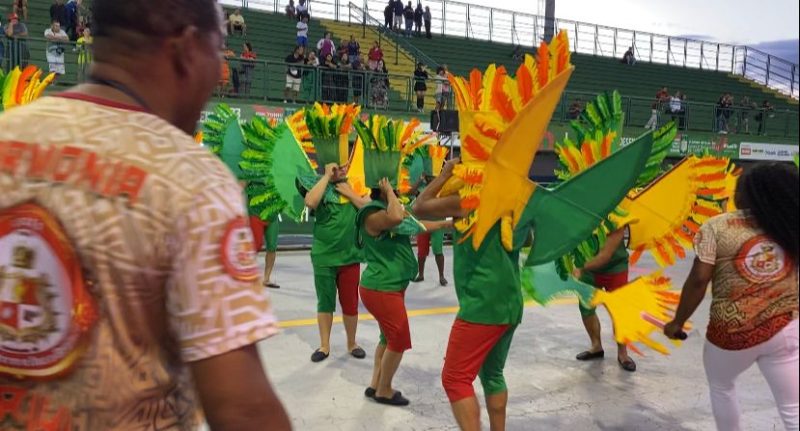 Componente segue com o samba no p&eacute; mesmo com adere&ccedil;o no ch&atilde;o – Foto: Divulga&ccedil;&atilde;o/ND