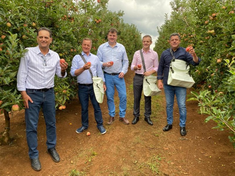 Abertura oficial da colheita teve a presen&ccedil;a do secret&aacute;rio de Estado da Agricultura, da Pesca e do Desenvolvimento Rural, Valdir Colatto – Foto: Secretaria de Agricultura/ND