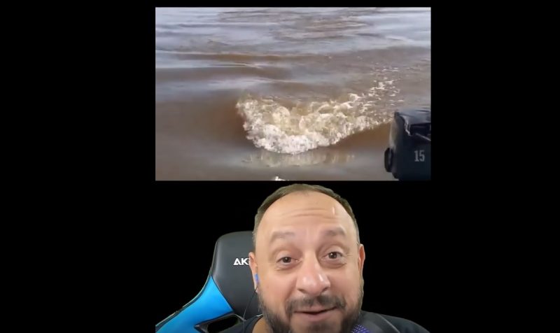 biólogo desvenda mistério de vídeo que está bombando na internet