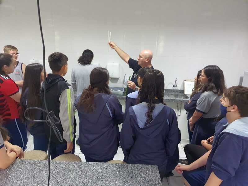 Em Joinville, alunos aprendem na prática o passo a passo para criar um papiro egípcio