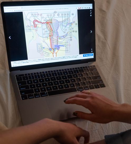 A cirurgia de retirada de &uacute;tero deve ser sempre avaliada pela paciente – Foto: Pexels/ND