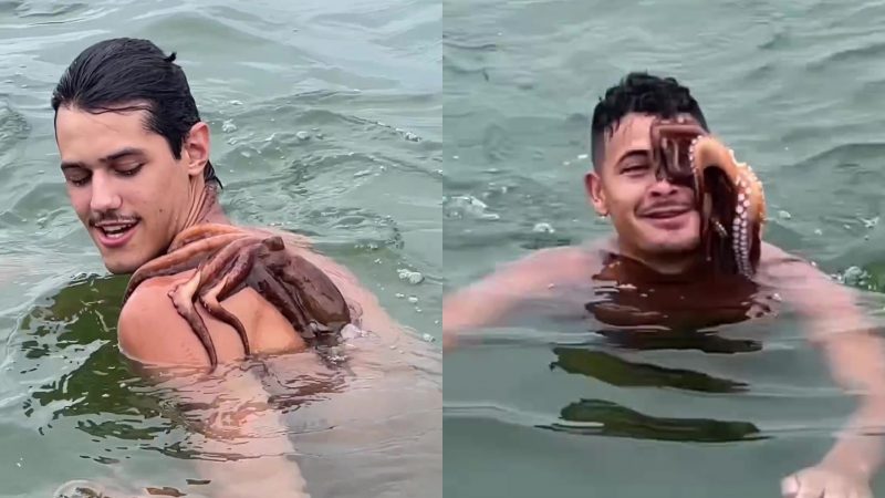 Polvo ‘gruda’ em banhistas e v&iacute;deo viraliza nas redes sociais – Foto: Reprodu&ccedil;&atilde;o/Internet/ND