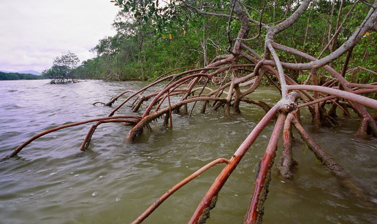 Prefeitura e empresa Extrabrita deve apresentar projeto de recupera&ccedil;&atilde;o ambiental – Foto: TRF4/Divulga&ccedil;&atilde;o/ND