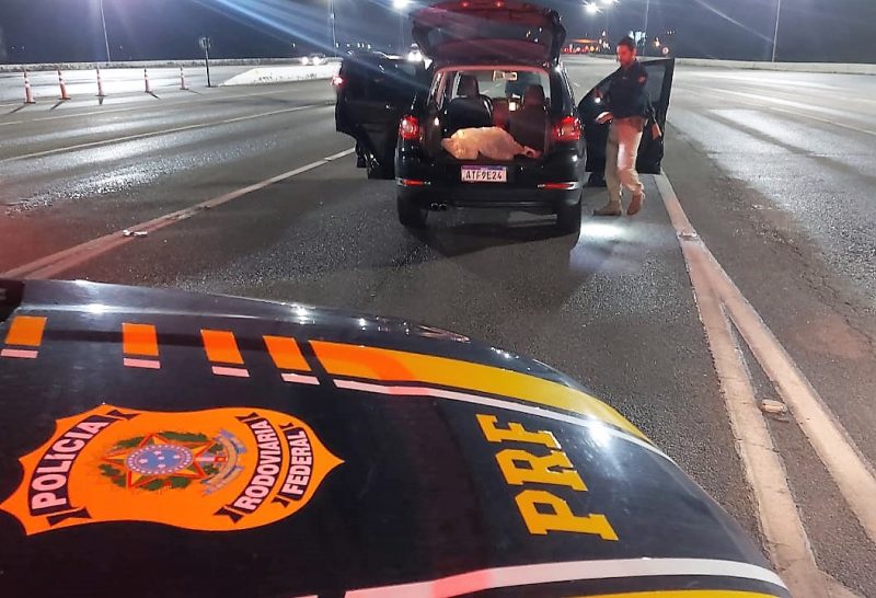 Abordagem no ped&aacute;gio de Porto Belo levou policiais a procurados pela Justi&ccedil;a – Foto: PRF/Reprodu&ccedil;&atilde;o/ND