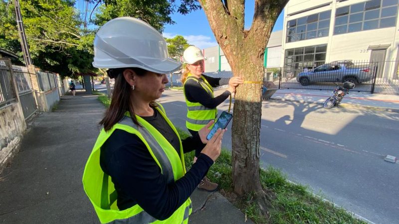 Diagn&oacute;stico revela tamb&eacute;m quais &aacute;rvores est&atilde;o mortas e onde podem ser feitos novos plantios – Foto: Thiago Pacheco/Secretaria do Meio Ambiente/Divulga&ccedil;&atilde;o/ND
