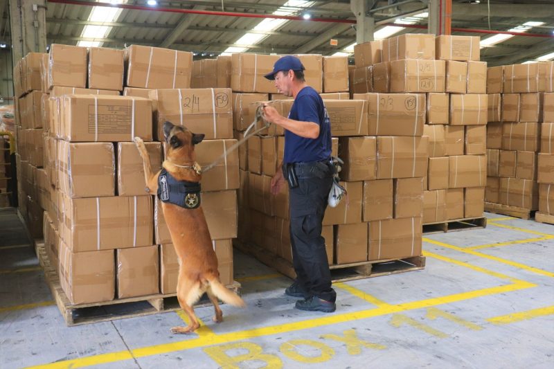 O c&atilde;o &eacute; treinado para atuar na fiscaliza&ccedil;&atilde;o de cargas – Foto: Portonave/Reprodu&ccedil;&atilde;o/ND