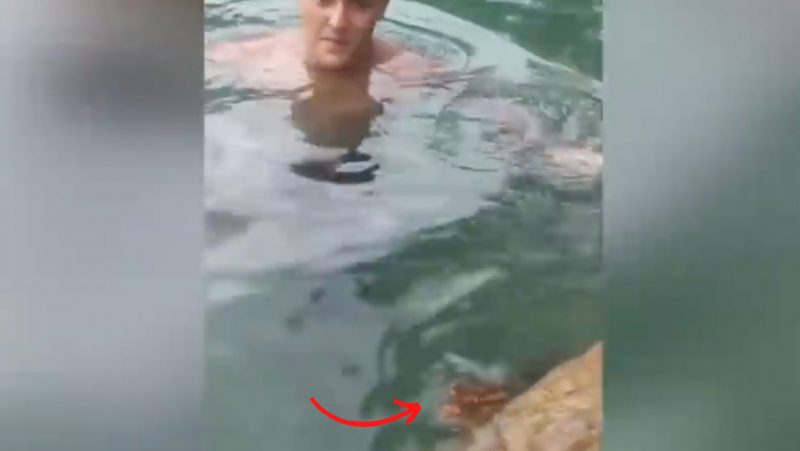 Banhista chega bem perto da sucuri para fazer selfie – Foto: Reprodu&ccedil;&atilde;o