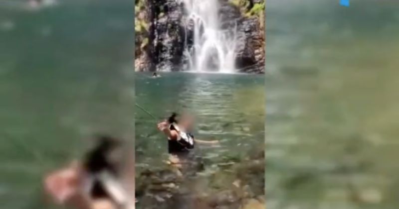 Cobra caiu de cachoeira e picou m&eacute;dica que nadava no local – Foto: Internet/Reprodu&ccedil;&atilde;o/ND