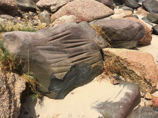 Nem todos os s&iacute;tios registrados por antigos pesquisadores s&atilde;o vis&iacute;veis ou resistiram &agrave; expans&atilde;o urbana da Ilha – Foto: Divulga&ccedil;&atilde;o/ND