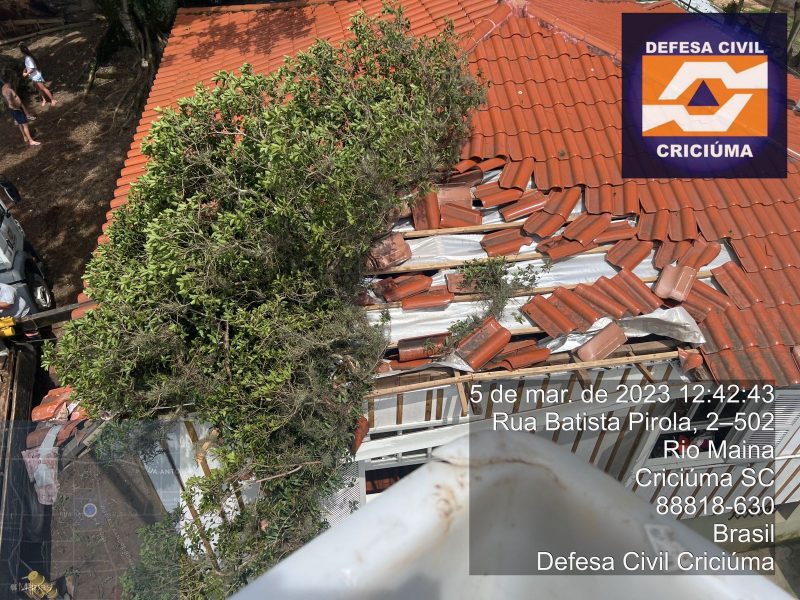 &Aacute;rvore destruiu parte de um telhado em Crici&uacute;ma – Foto: Defesa Civil/Reprodu&ccedil;&atilde;o/ND