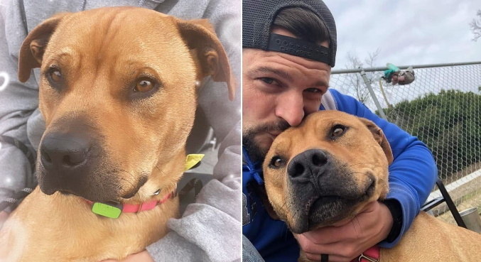 Barney j&aacute; passou por 2 fam&iacute;lias – Foto: Internet/Reprodu&ccedil;&atilde;o/ND