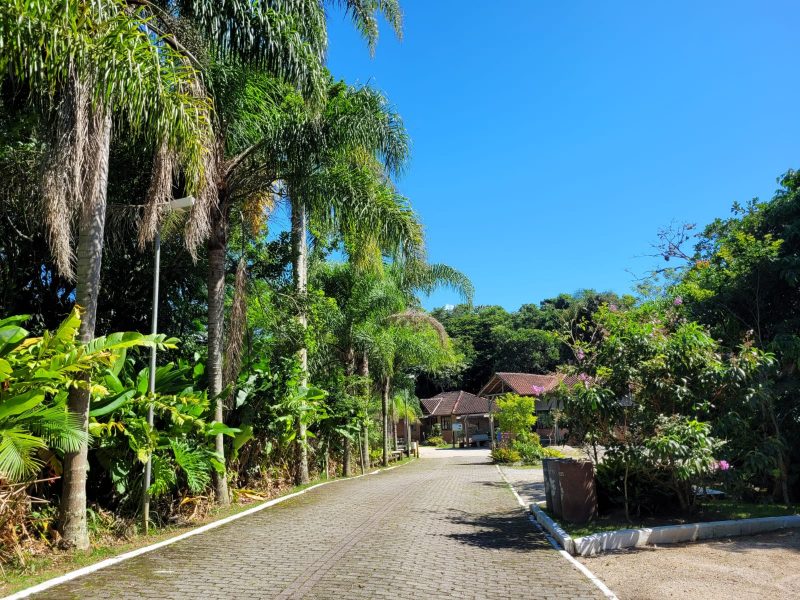 O Parque Natural Municipal do Morro da Cruz &eacute; uma Unidade de Conserva&ccedil;&atilde;o localizada na regi&atilde;o central da Ilha de Santa Catarina – Foto: J&eacute;ssica Schmidt/Especial para o ND