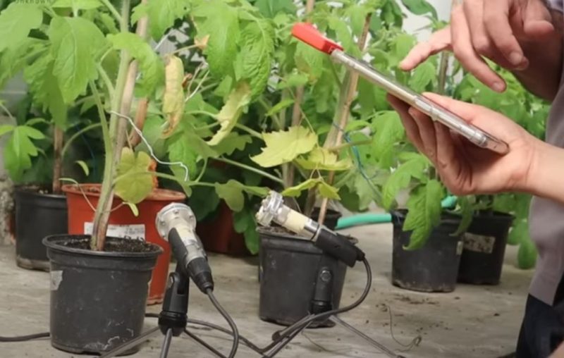 No v&iacute;deo, pesquisadores explicam teoria e mostram experimento – Foto: Tel Aviv University/ Reprodu&ccedil;&atilde;o/ND