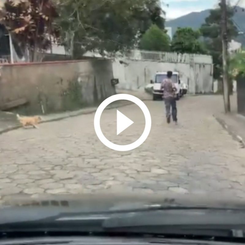 Caminh&atilde;o fora de controle atinge carro em rua de Blumenau – Foto: Diarinho Blumenau/Reprodu&ccedil;&atilde;o/ND