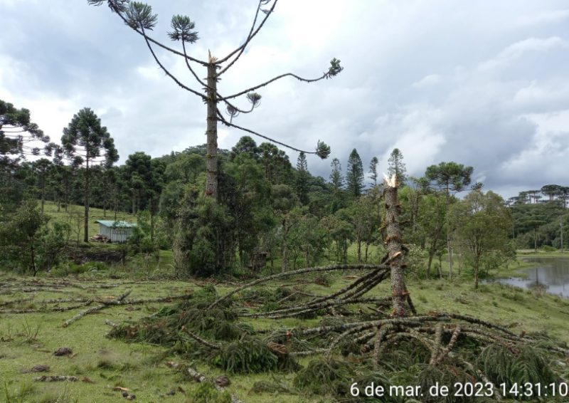Registro da destrui&ccedil;&atilde;o. – Foto: Defesa Civil de Campo Alegre/Divulga&ccedil;&atilde;o ND