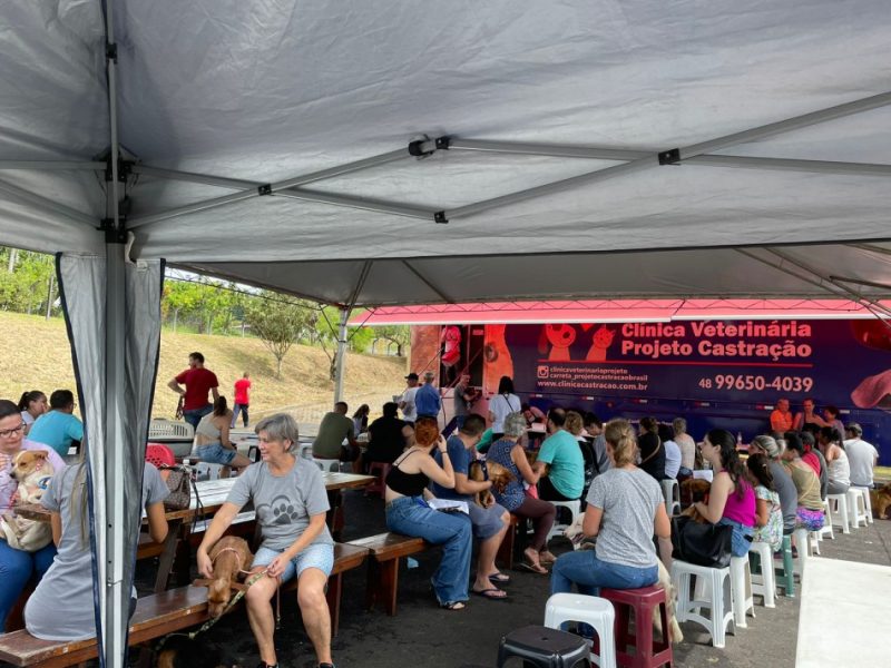 Blumenau atende 900 animais entre c&atilde;es e gatos durante mutir&atilde;o de castra&ccedil;&atilde;o gratuita – Foto: Prefeitura Blumenau / Reprodu&ccedil;&atilde;o ND