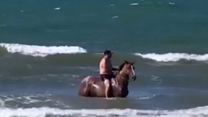 A man rides a horse through the water on the beach of Porto Belo: 