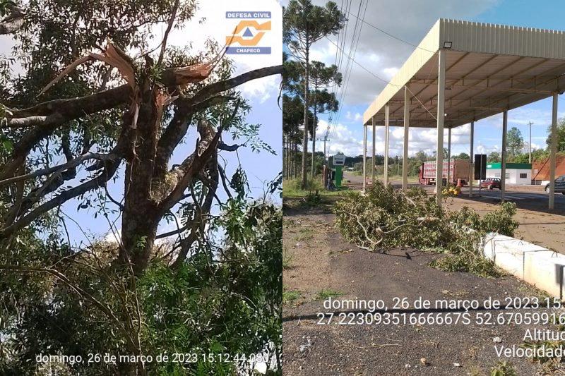 &Aacute;rvores foram quebradas – Foto: Defesa Civil/ND