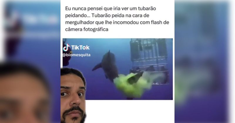 Tubar&atilde;o lan&ccedil;a fuma&ccedil;a verde sobre mergulhadores e atrai centenas de peixes – Foto: Internet/Reprodu&ccedil;&atilde;o/ND