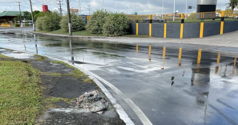 Trecho foi limpo em menos de uma hora pela Defesa Civil – Foto: Defesa Civil/Divulga&ccedil;&atilde;o/ND