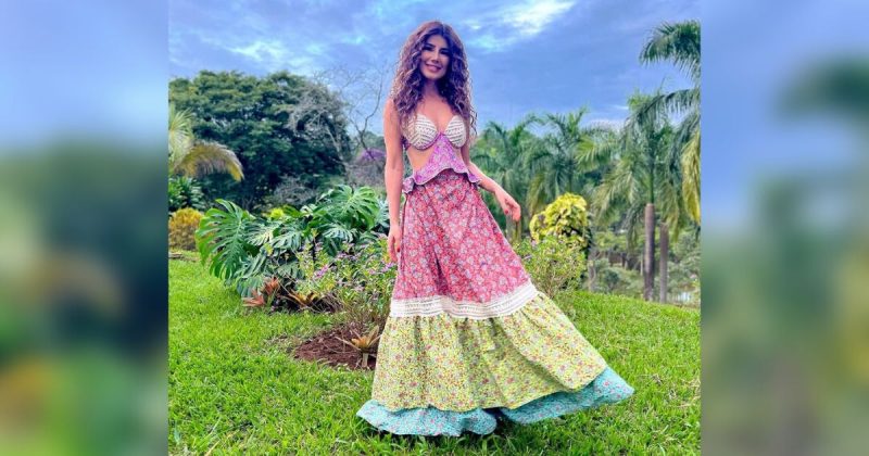 ‘Rosto diferente’ de Paula Fernandes &eacute; criticado na web e especialista avalia – Foto: Internet/Reprodu&ccedil;&atilde;o/ND