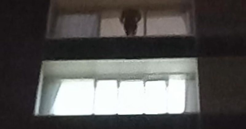 Imagem mostra “corpo” em apartamento – Foto: Reprodu&ccedil;&atilde;o/@frannoliv/ND